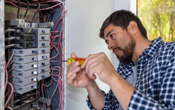 Best Licensed Electrician  in Wills Point, TX
